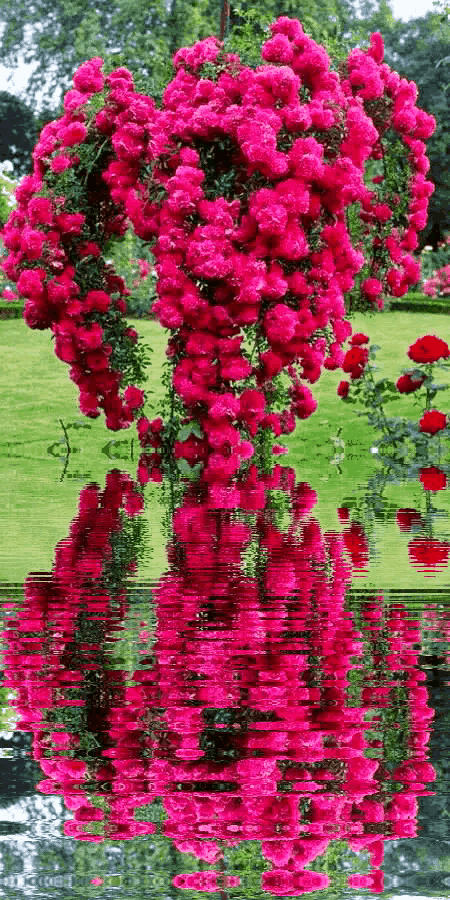 妈妈，我们总是把你藏在你的心里。