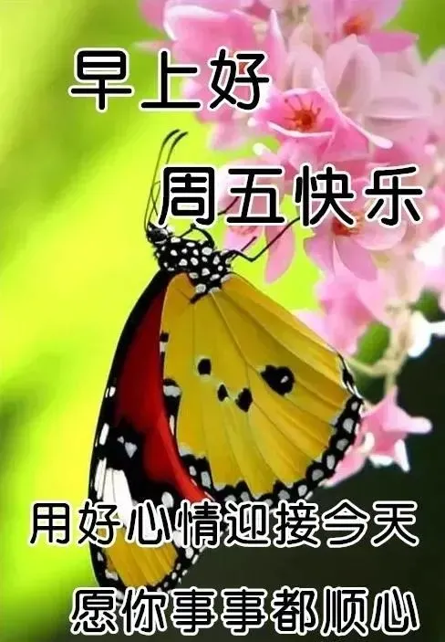 早安吉祥:又迎来新的一天,愿时光不老,我们都好,早上好