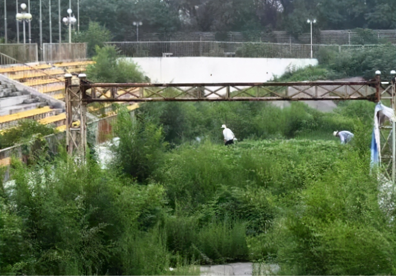 北京奥运会哪些场馆被荒废了(外媒曝北京奥运场馆已荒废成菜园，北奥到底给我们留下了什么？)