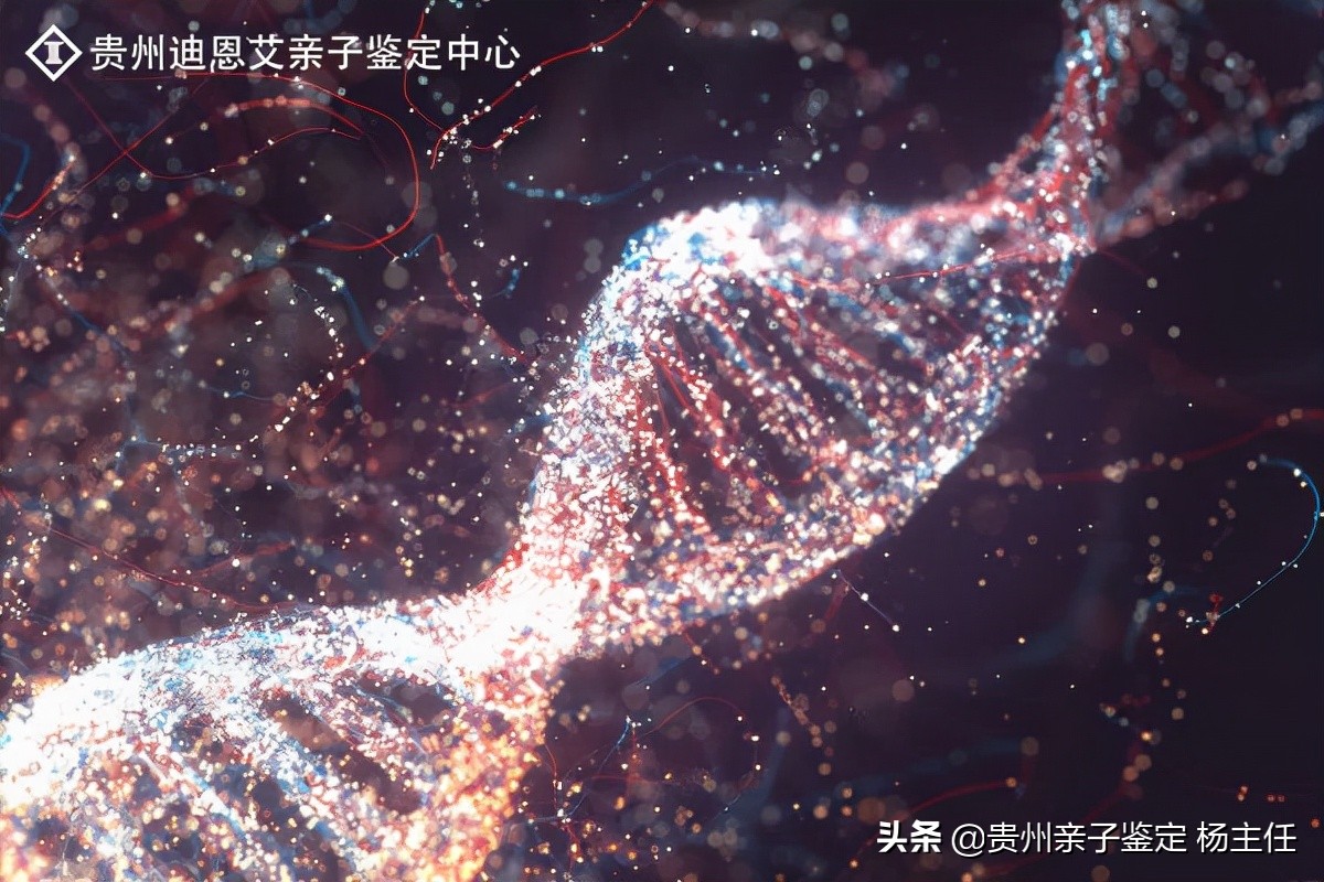 亲子鉴定多少钱一次,亲子鉴定多少钱一次需要什么