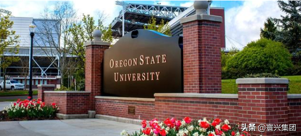 QS世界大学排名，俄勒冈州立461，康考迪亚大学462，那北航呢？