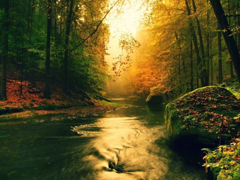 「诗词鉴赏」古诗词里的山中秋色，气象万千，摄人心魄的美丽