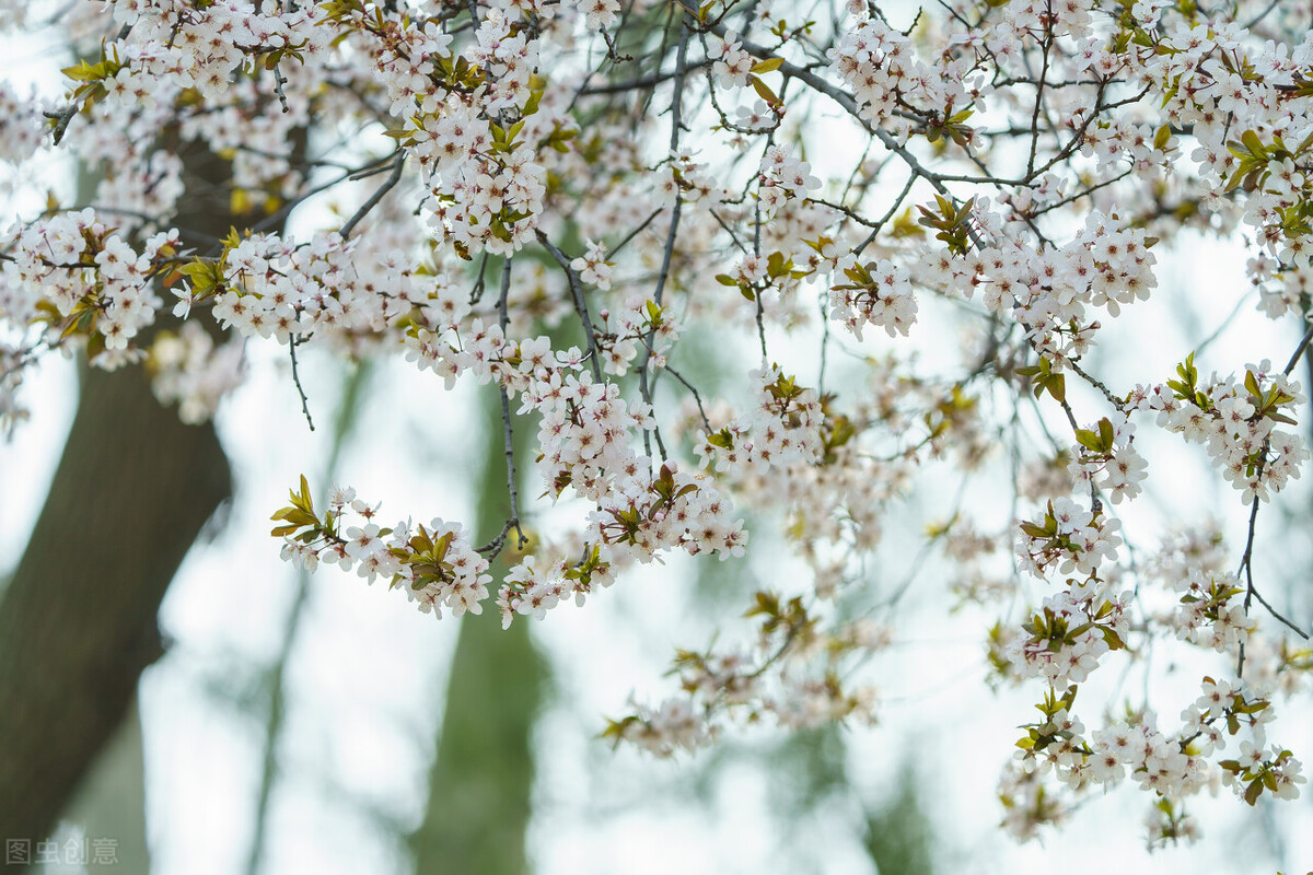 高三听力练习（17）