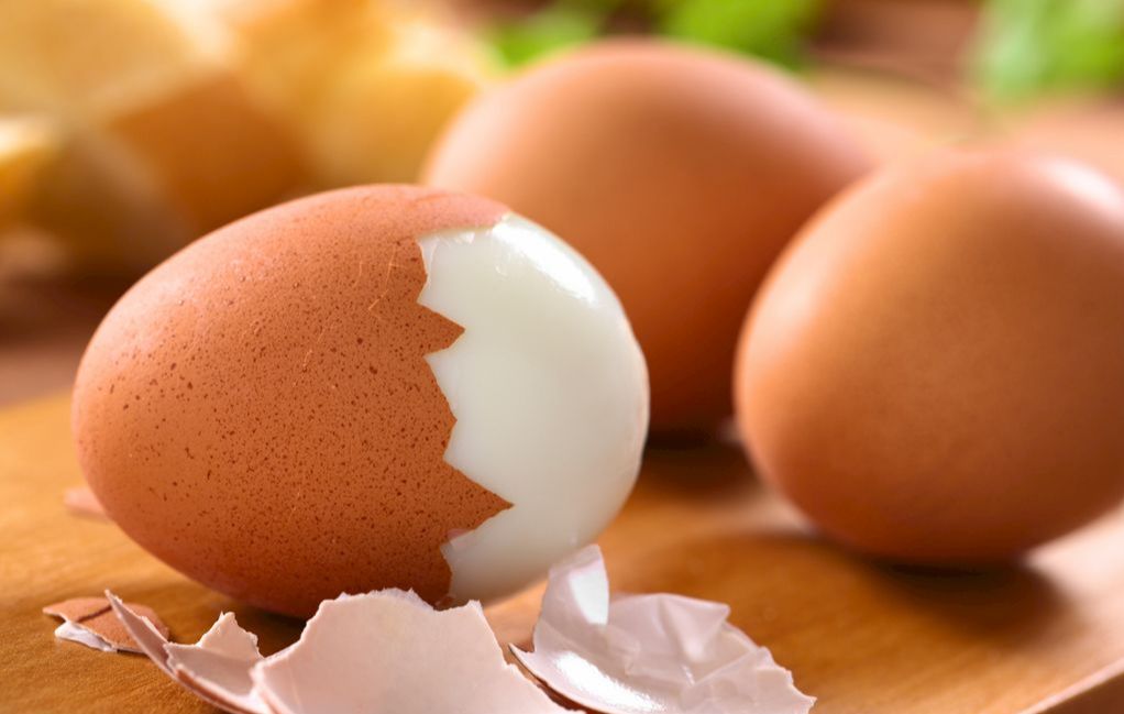 芦花鸡蛋是什么颜色的（盘点国内常见的蛋用鸡种）