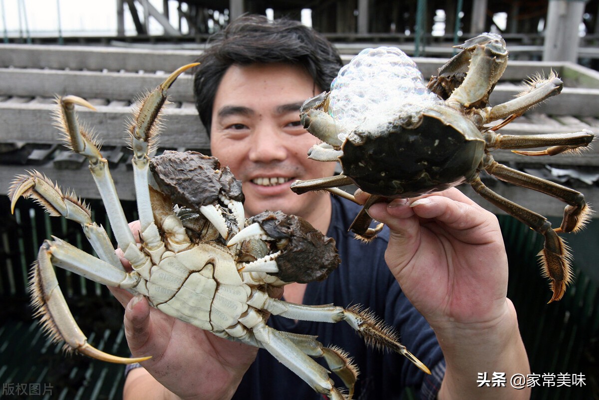 世界上最大的螃蟹排名(全国哪里的大闸蟹最好吃？中国十大大闸蟹排行榜，看看你吃过几种)