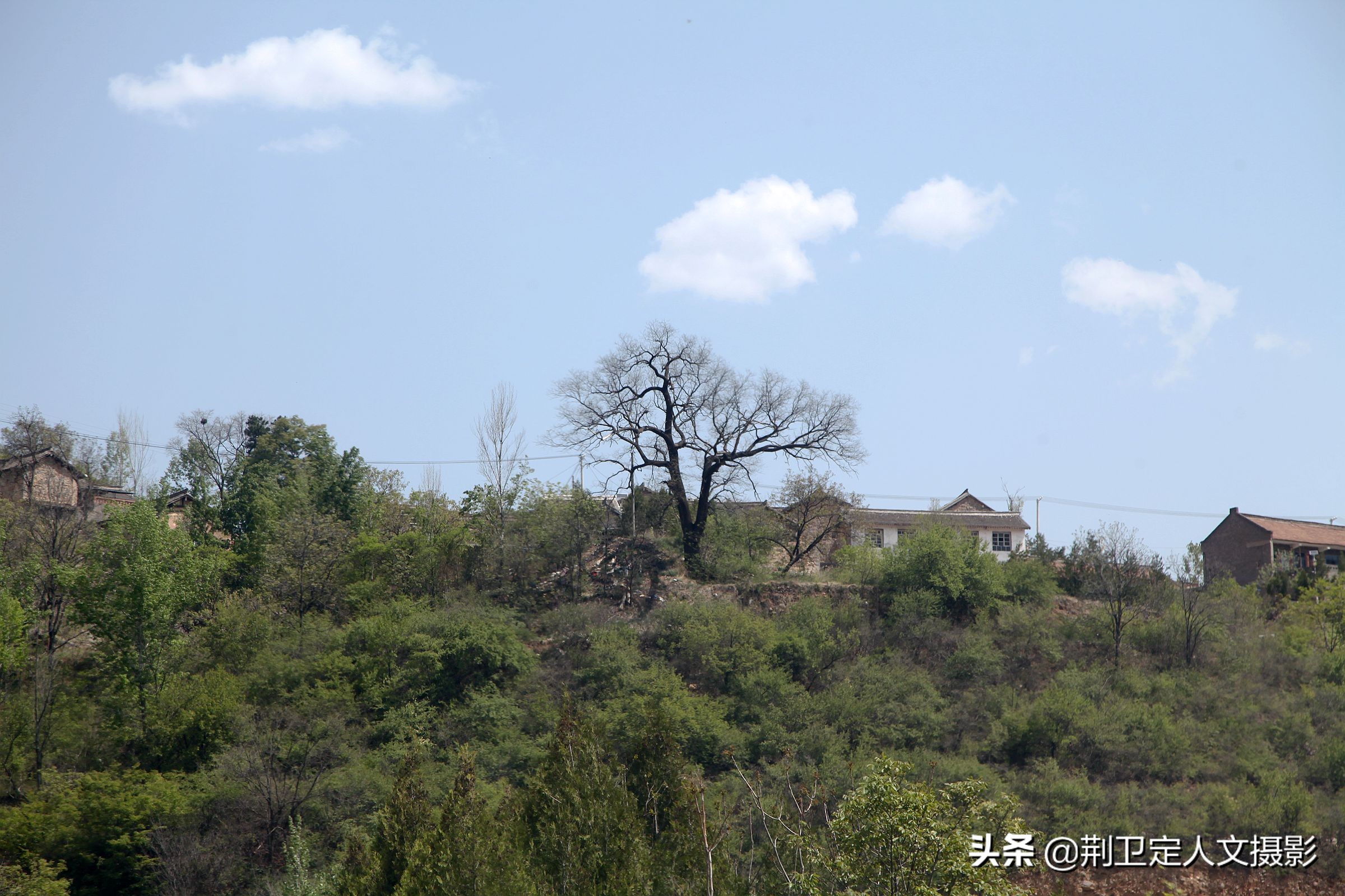 农村300年老宅藏有1张木床，16万不卖，看看啥木料如此金贵