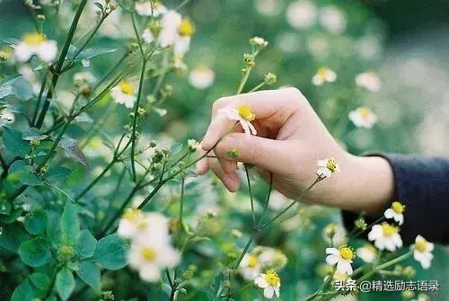 做人，要有骨气；做事，要有担当