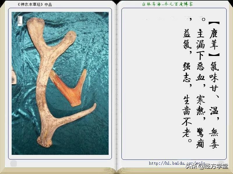 《神农本草经》全册图文解析 建议收藏