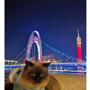 猫咪伸爪把我抓伤了，不打疫苗我会死吗？
