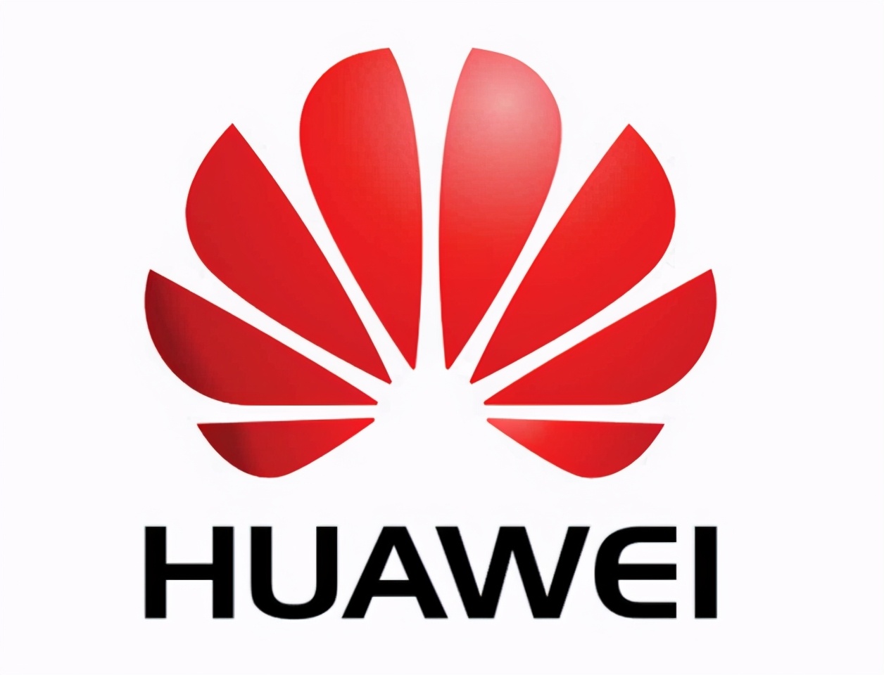 中国手机市场排名洗牌？荣耀第五，小米第三，第一让人意外