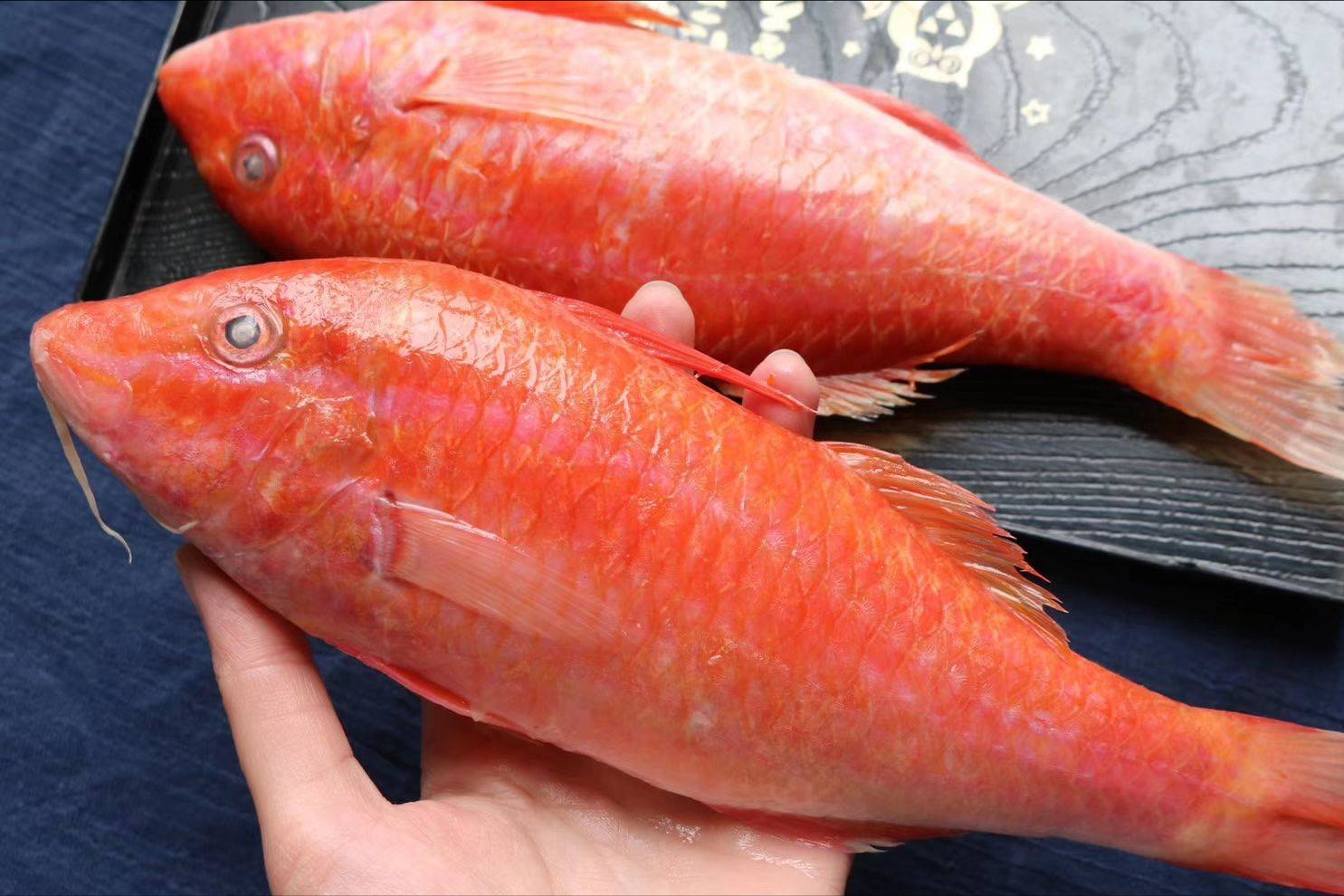 红色的海鱼 食用图片