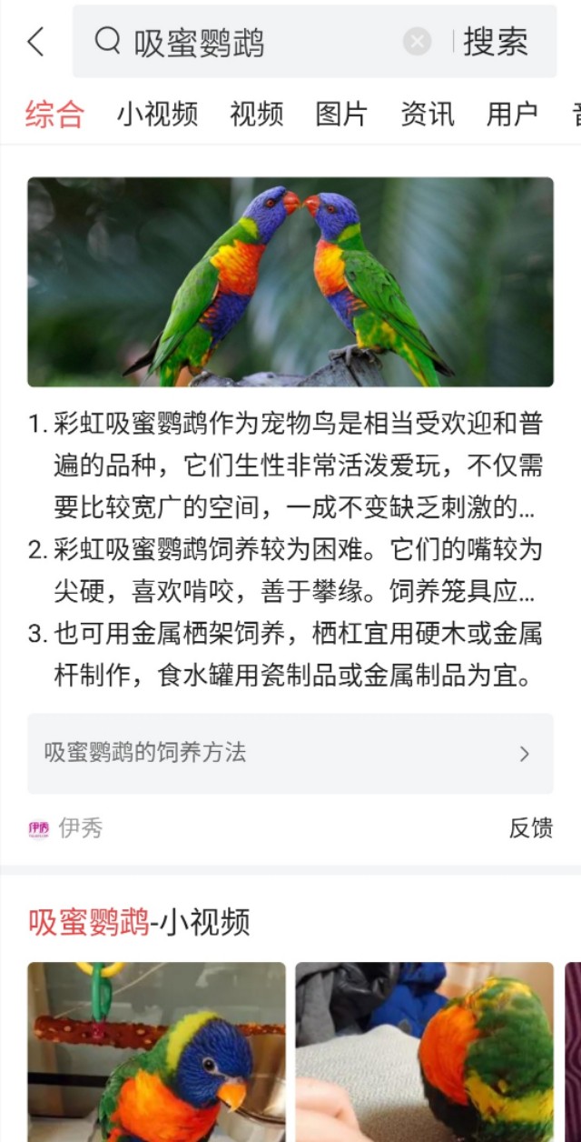 牡丹鹦鹉价格超市门口有人卖鹦鹉