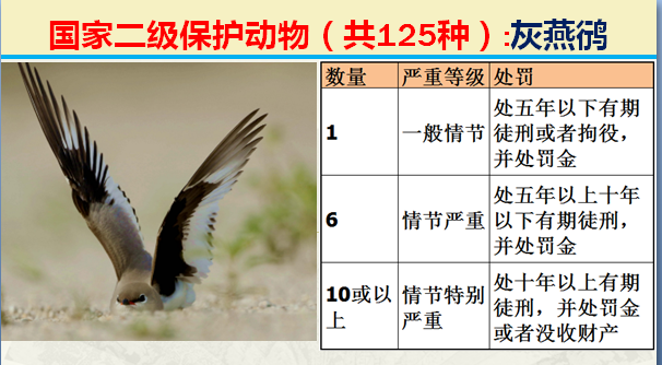 二级保护动物（国家最新125类二级野生保护名录）