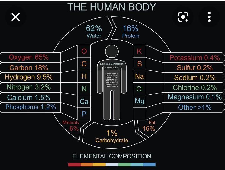 硅基生命可能一直生存在宇宙中，比人类要强大，寿命超百万年