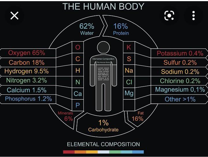 硅基生命可能一直生存在宇宙中，比人类要强大，寿命超百万年