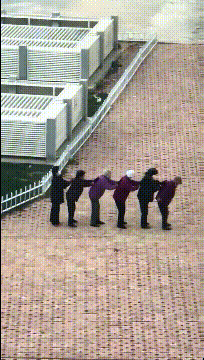 “假如你被关进精神病院，请用一句话证明自己不是”！神评太逗了