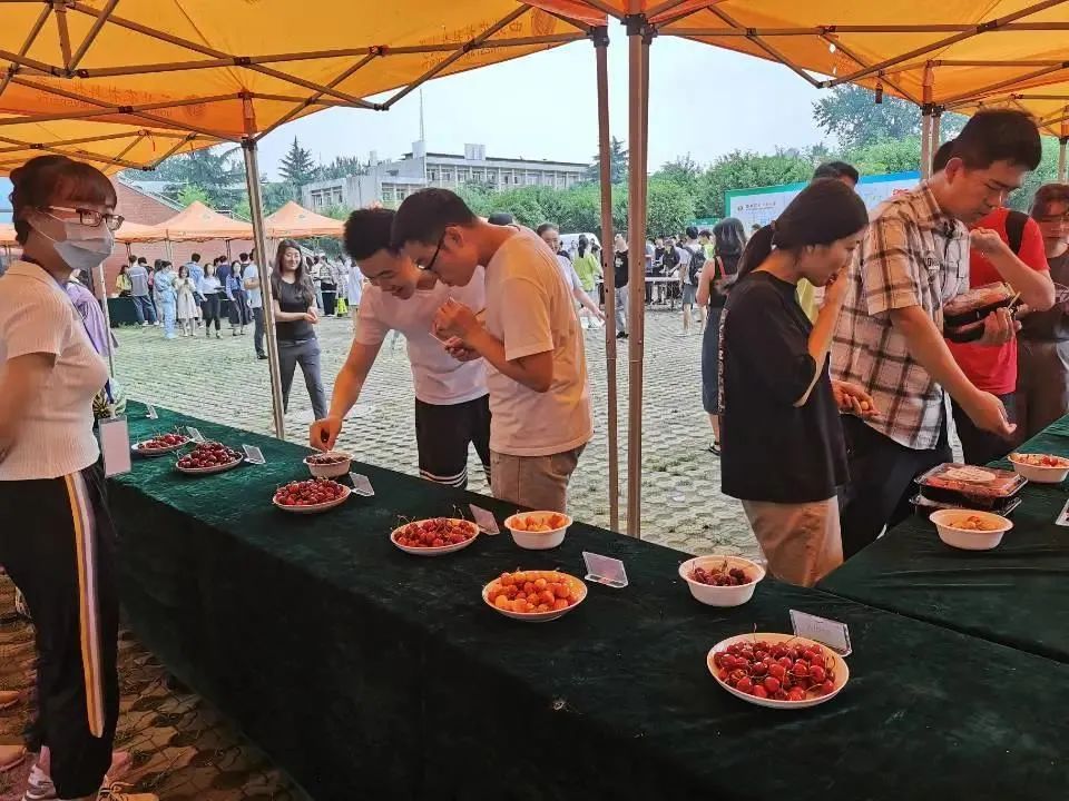 “西北不愁吃喝大学”，又来了