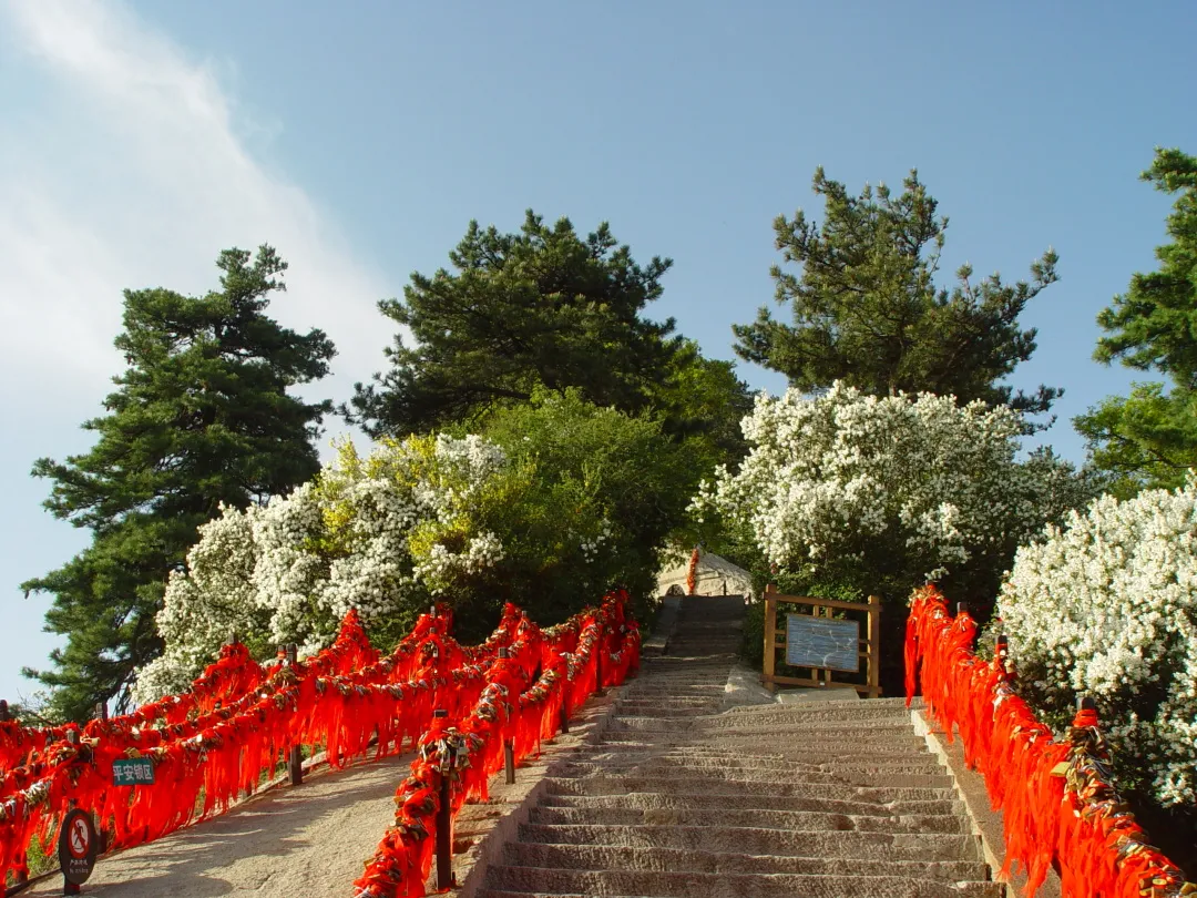 华山旅游线路(十一游览华山的最佳线路，现在就给你安排！)