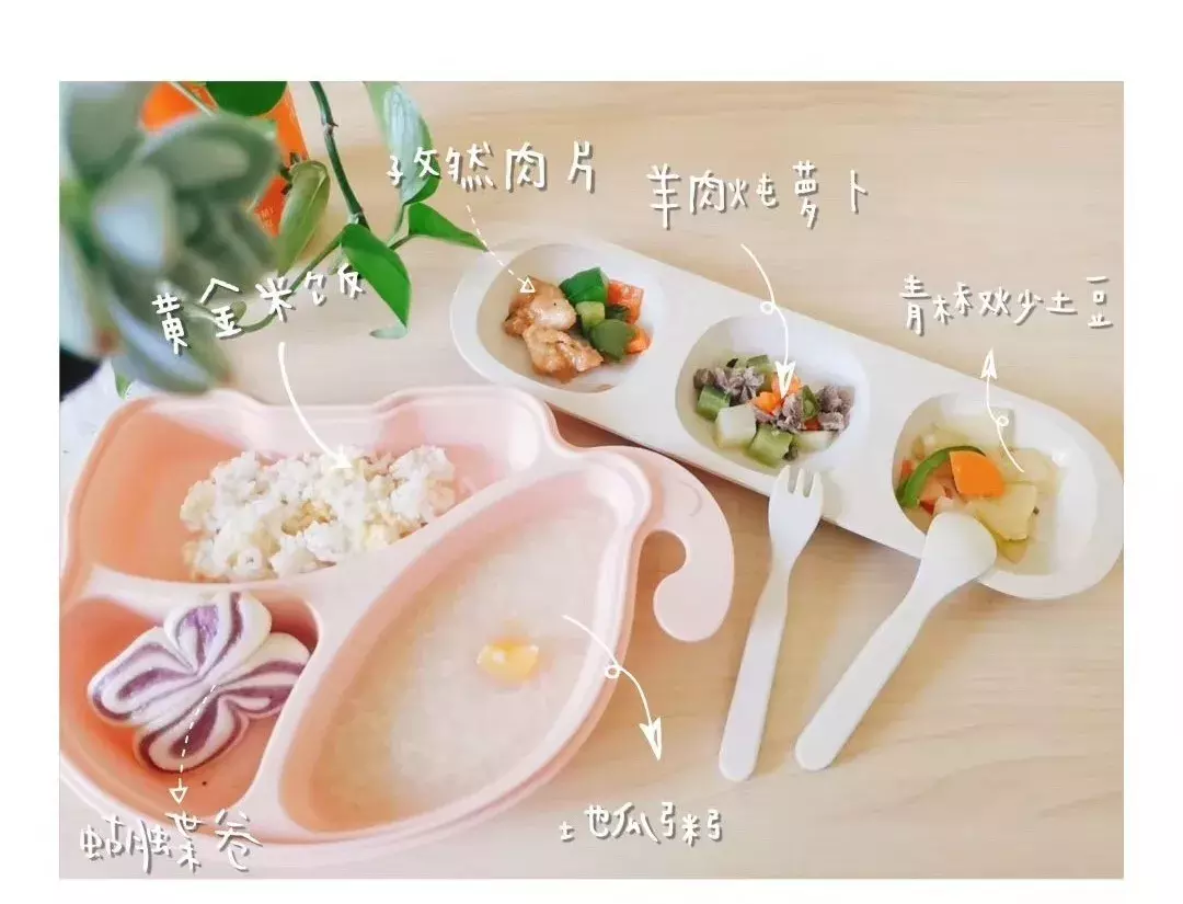 在潍坊枫叶国际学校，您的孩子将这样长大