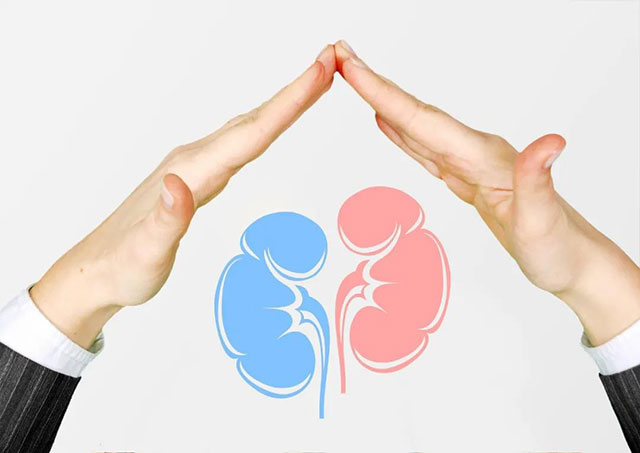 同型半胱氨酸是什么？同型半胱氨酸升高有什么害处？怎样降下来？