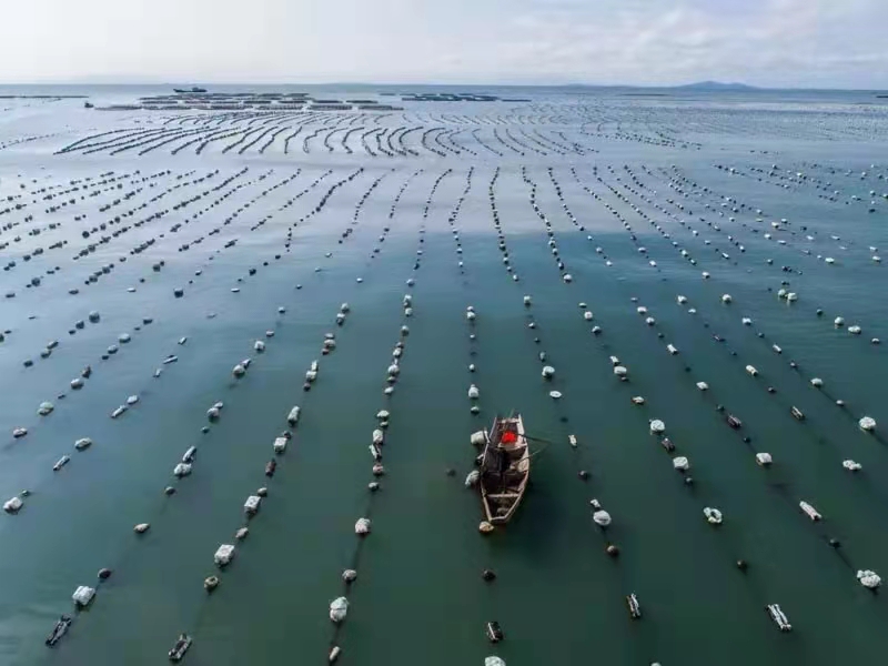 海洋碳汇与海洋经济生态化研究