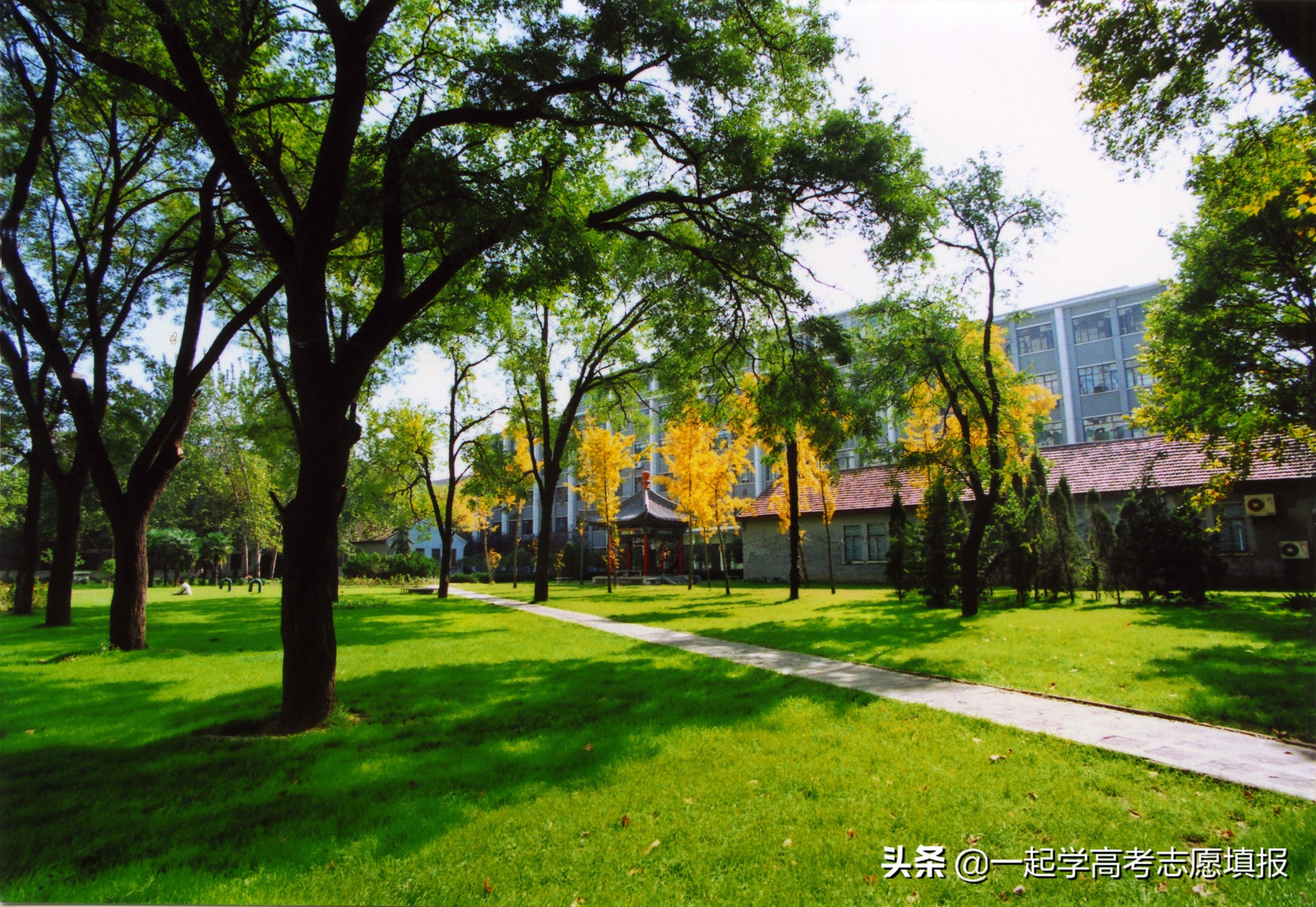 西北大学的重点学科、优势专业