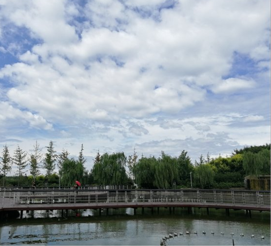 郑州十大湿地公园一览，自驾游绝佳去处！人少景美，不要门票