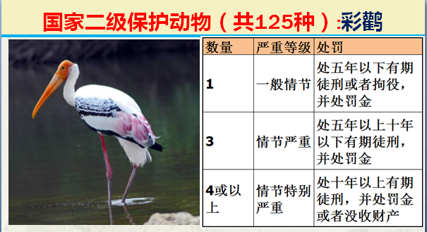 国家保护动物分几个等级（125类二级野生保护名录）