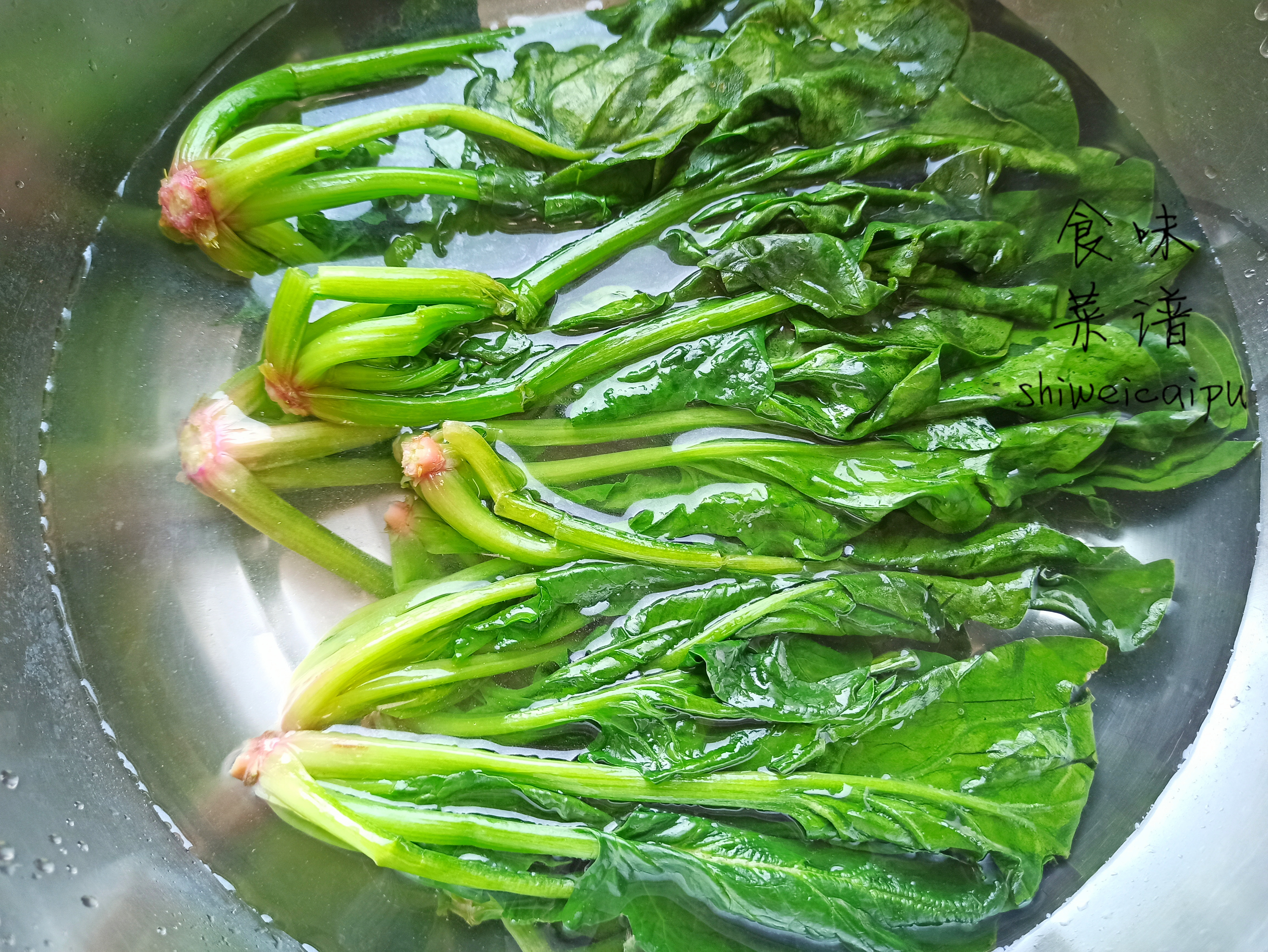三十六种素馅包子大全（分享5种纯素包的调法）