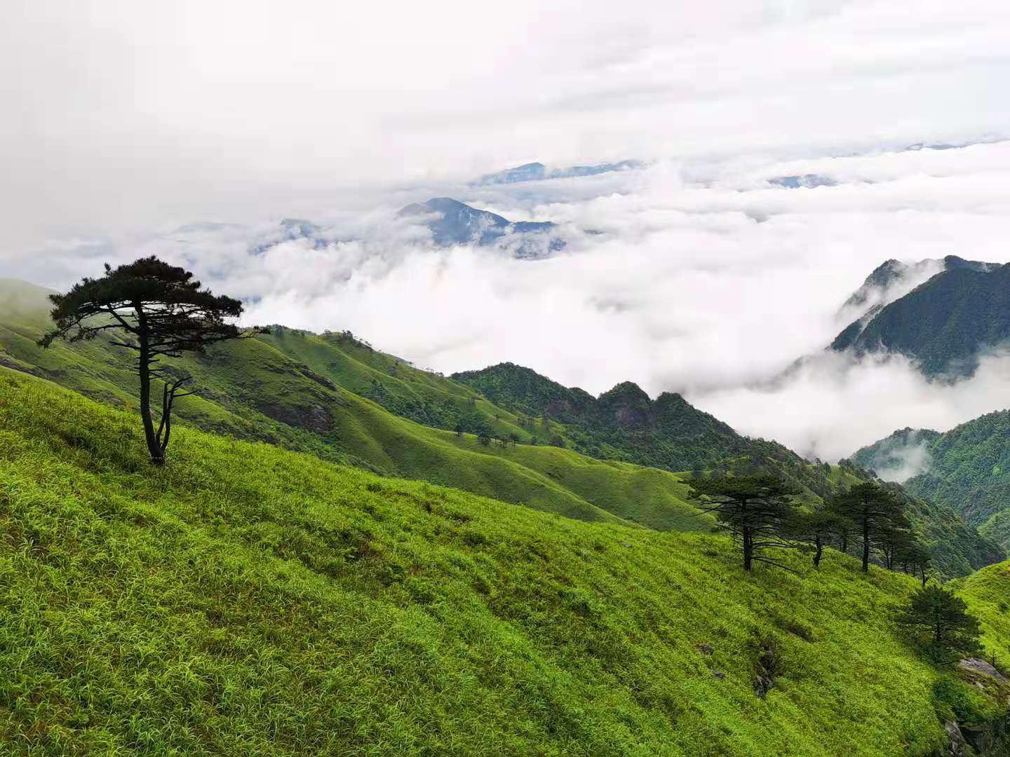 武功山海拔多少米(爱恨武功山，一生一定要去一次的徒步天堂)