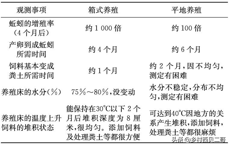 牛蛙的养殖技术（正确的牛蛙的养殖方法大全）