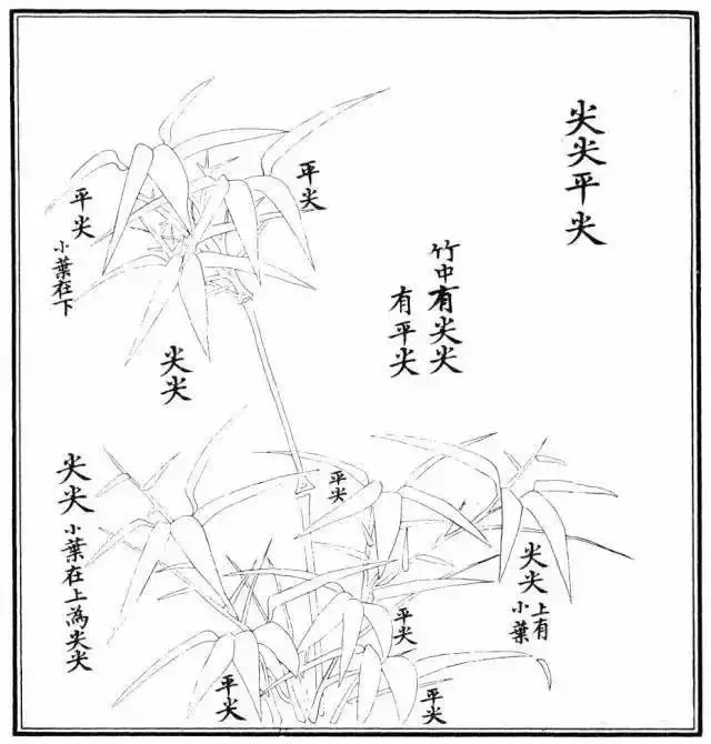 不会画竹子?教你最常见竹子画法,简单易学,快收藏起来临摹学习