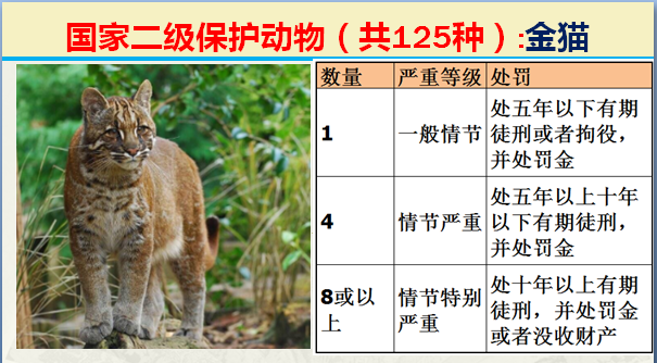 二级保护动物（国家最新125类二级野生保护名录）