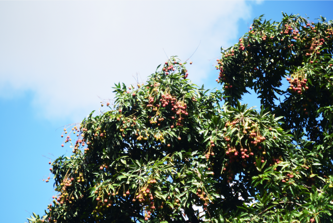 “西北不愁吃喝大学”，又来了