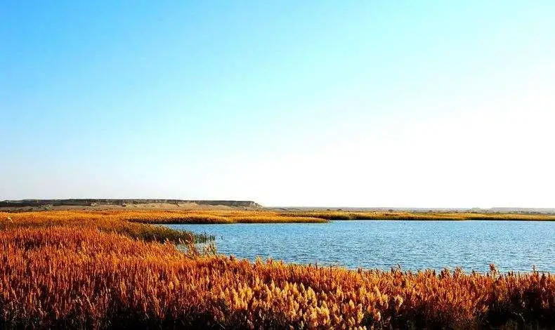 居延海，三千弱水，原来在此