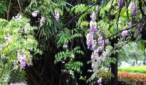 浙江理工大学2016-2018文理类分省录取分数