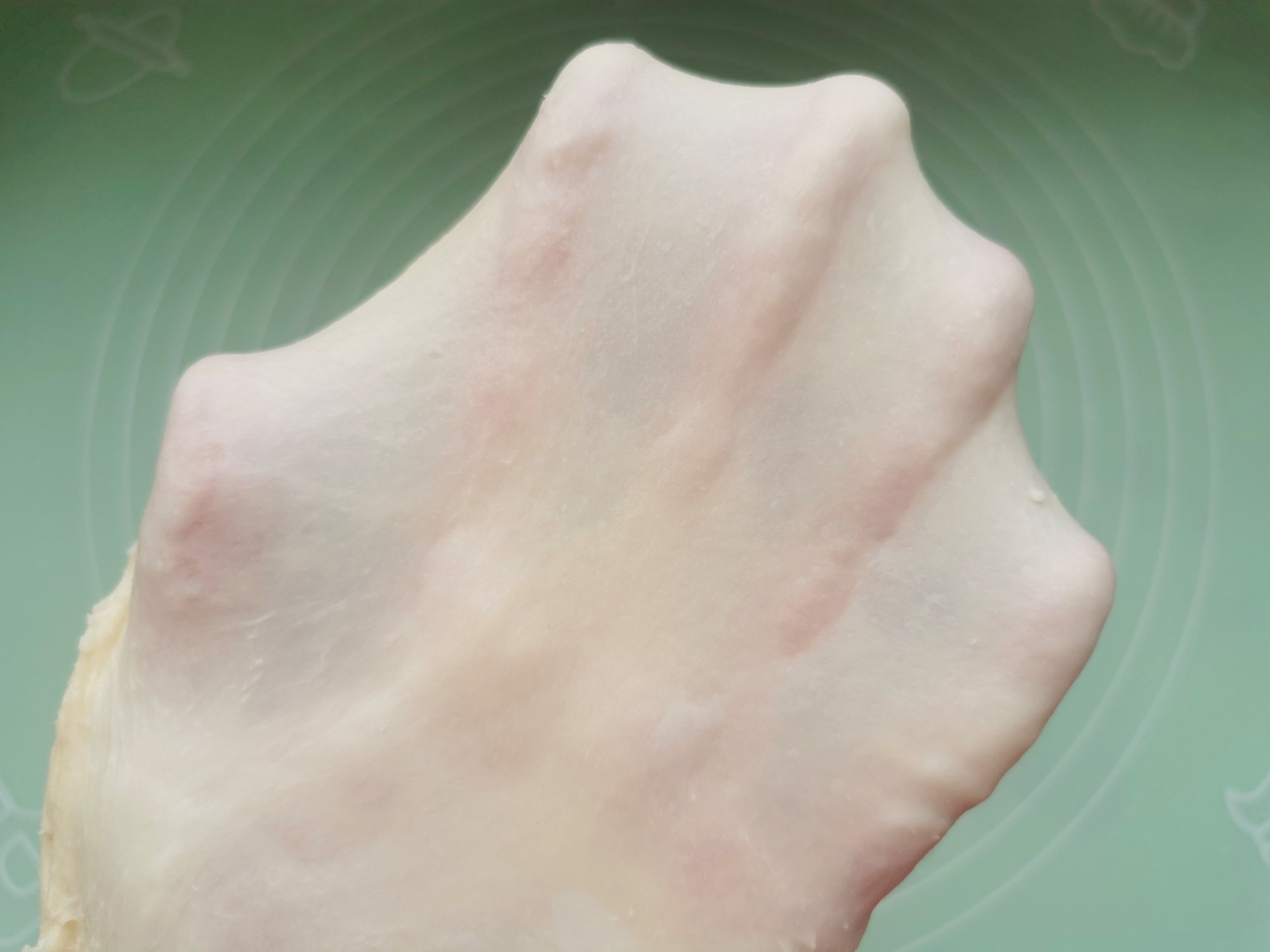 蜂蜜小面包（分享蜂蜜脆底小面包做法太简单易学）