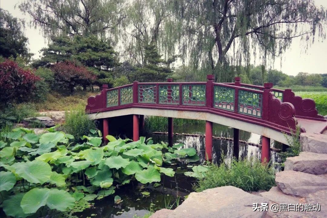 长城、胡同、故宫、鸟巢，北京那些不可错过的名胜古迹