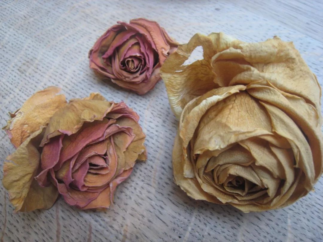怎么把花做成干花（5个方法轻松制作精美的干花）