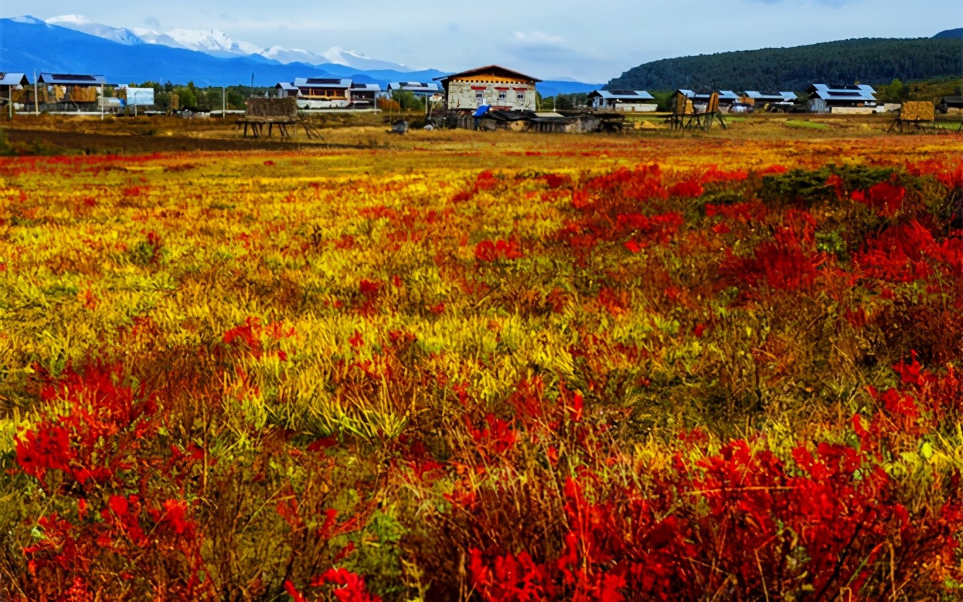 云南香格里拉旅游攻略必去景点，云南香格里拉旅游最佳时间