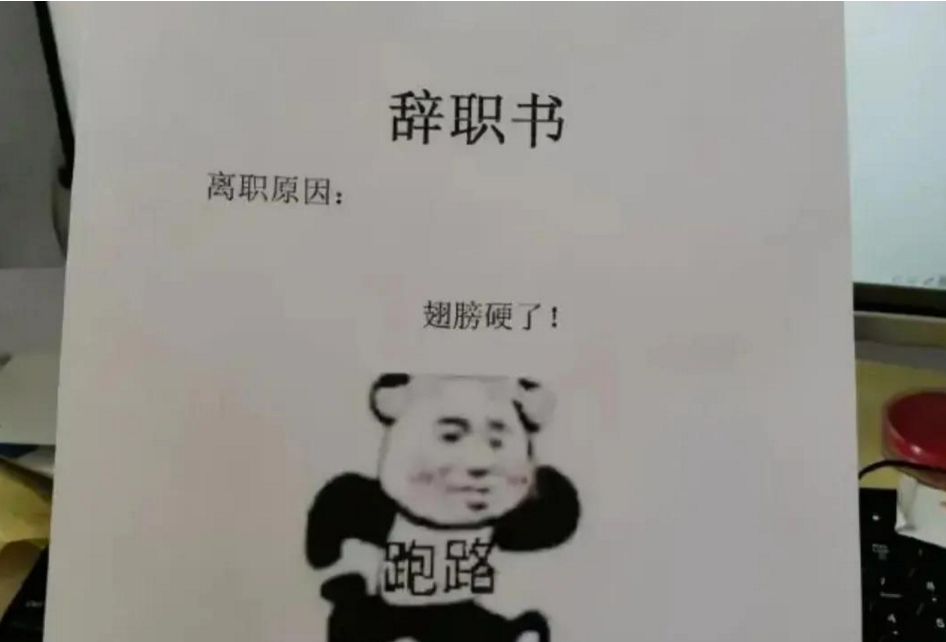 00后毕业生“霸气”辞职信，理由任性且嚣张，老板看后无话可说