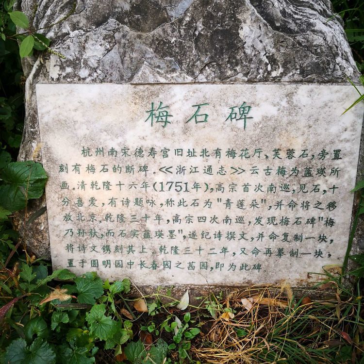 北大印象，漫步北大校园
