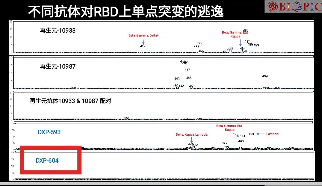 我国新冠特效药或再出“黑马”，能防变异株