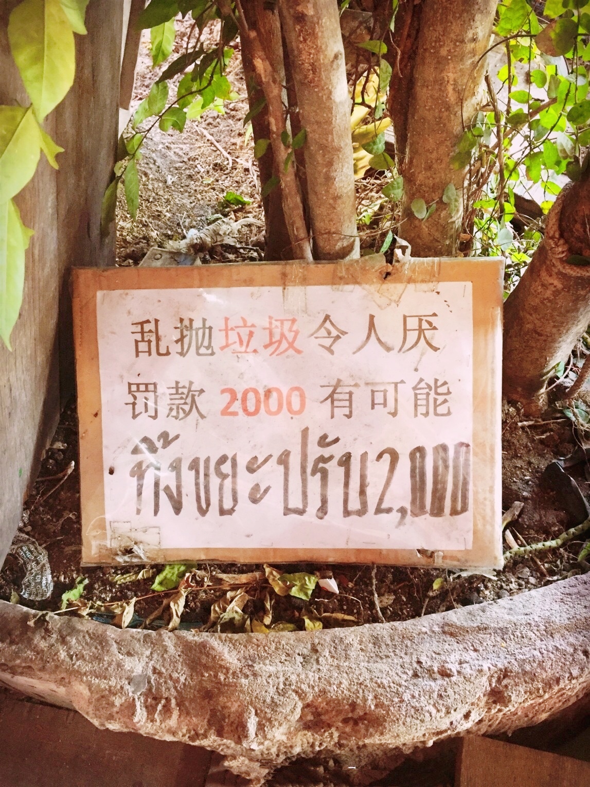 外国街头的“中文标语”，让人笑岔气