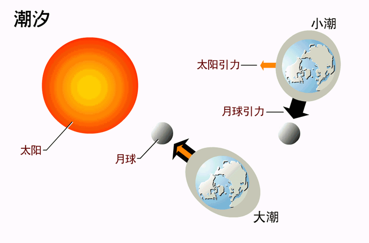 潮涨潮落时间表（瑞安潮涨潮落时间表）-第2张图片-科灵网