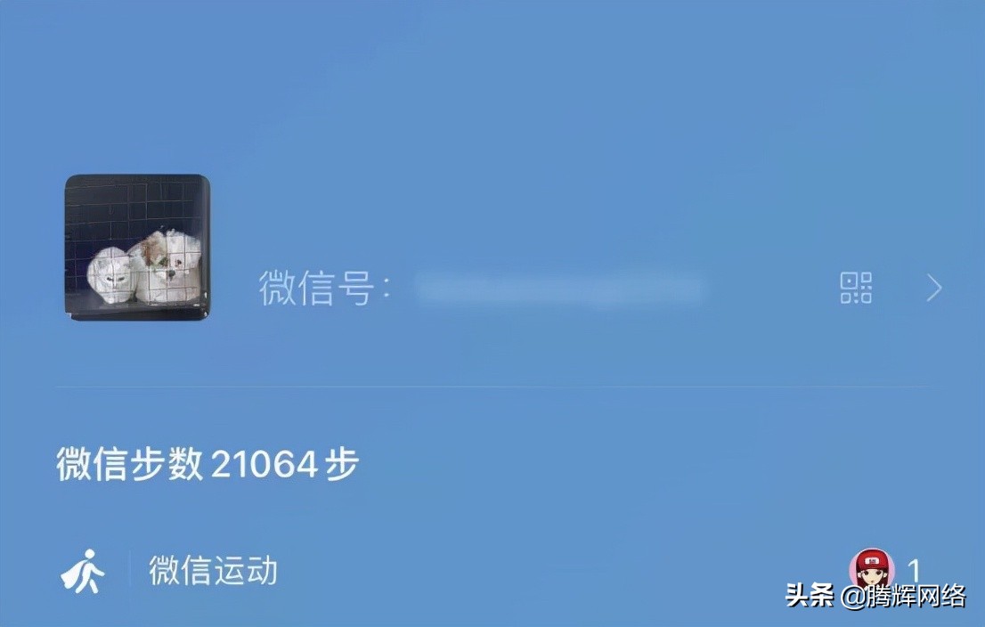 微信重大更新：8.0.16正式版上线，新增的三大功能值得关注