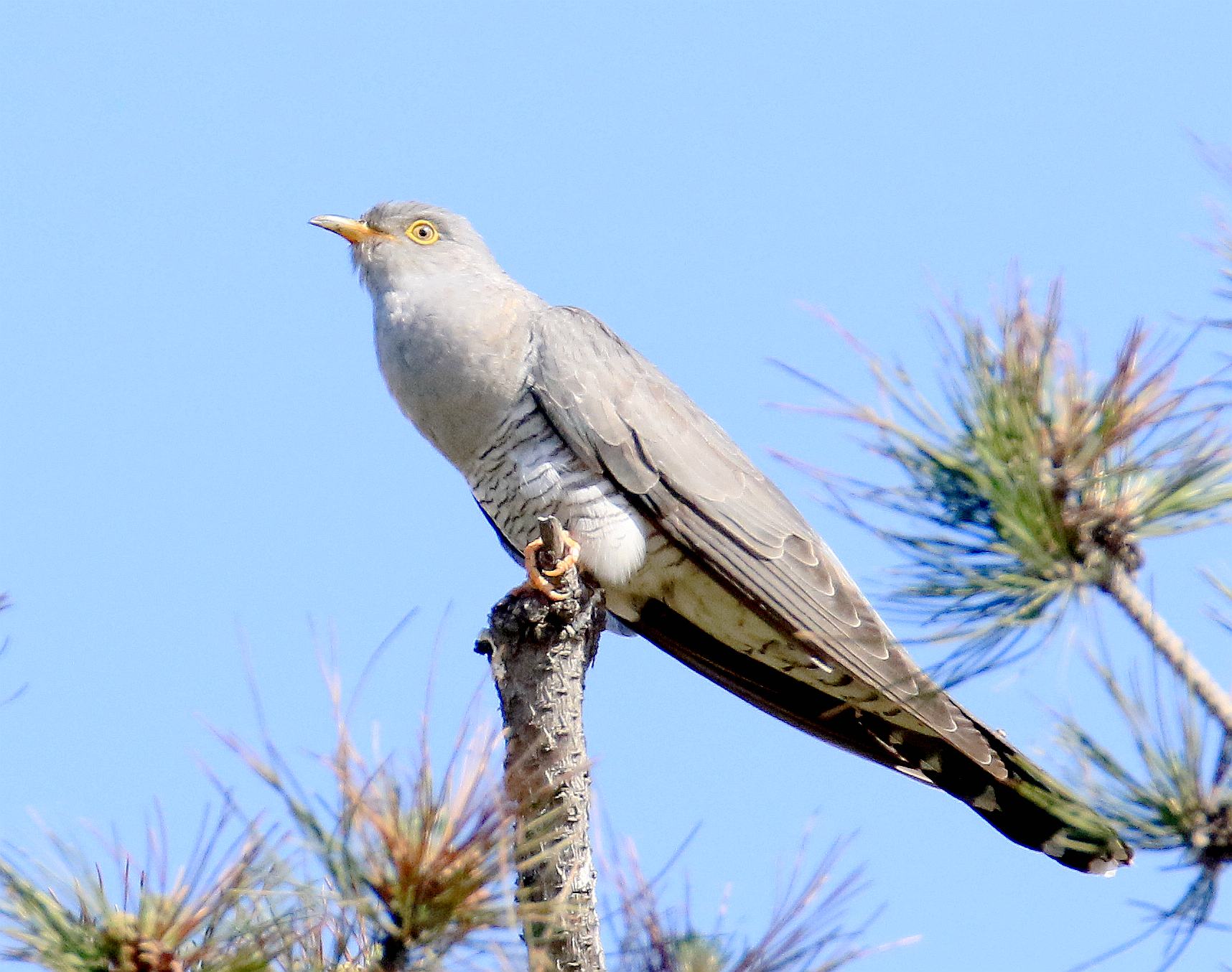 ������ʲ(shi)ôʱ��ʼ�У���������ʲôʱ(shi)��еģ�-��Ȼ(ran)�����