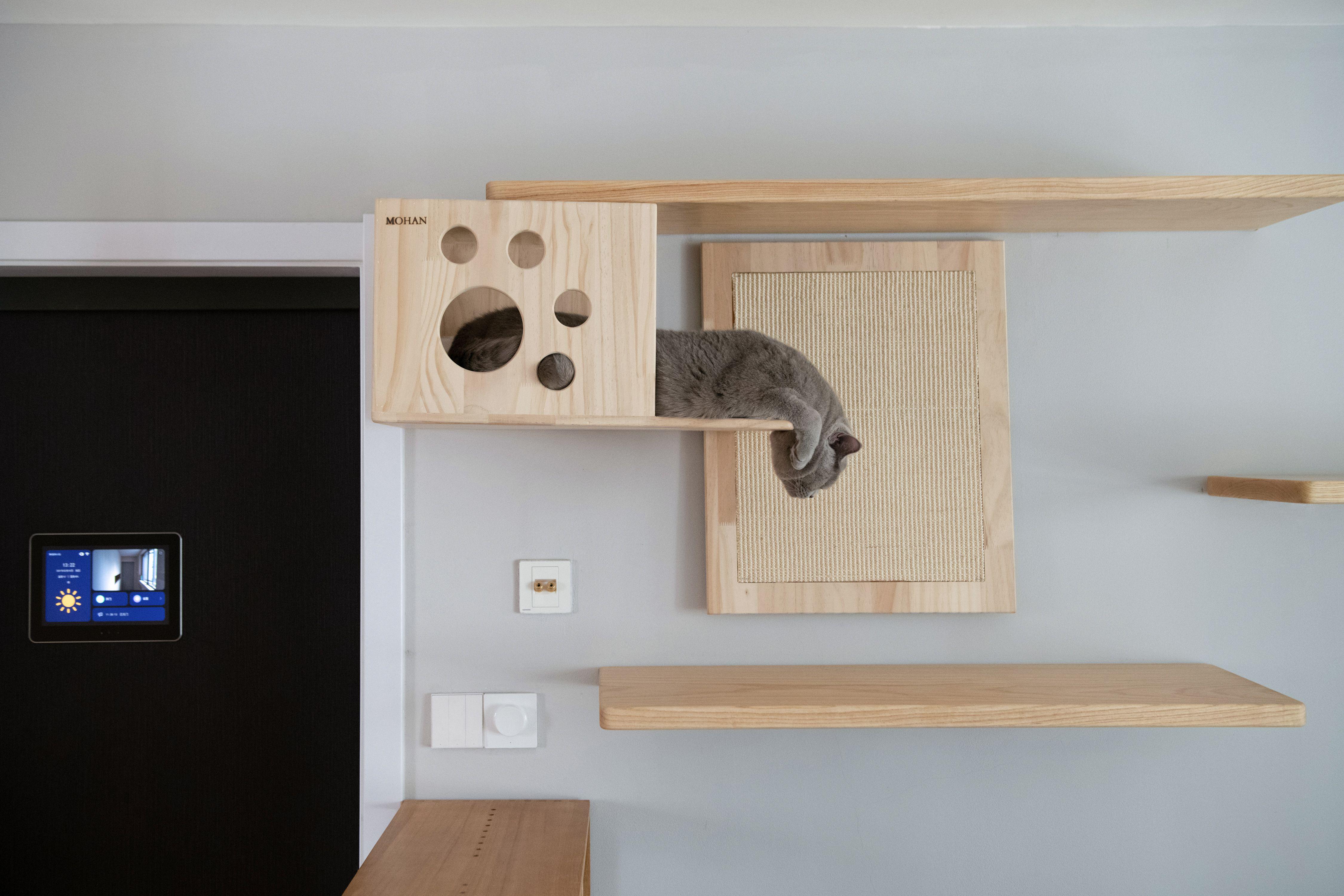 费时+费力+费钱=2人2猫的梦想屋，125平40万落地