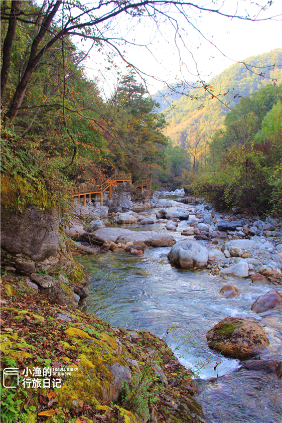 秦岭腹地精华自驾路线，私藏中国绝美秋景！陕西必驾，你去过吗？