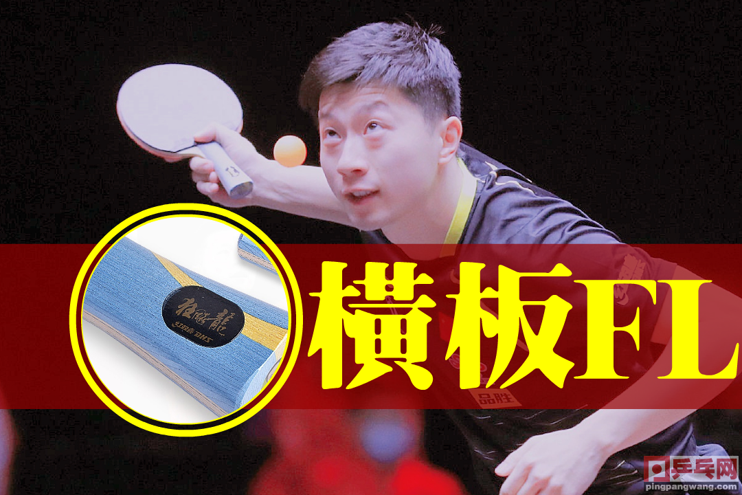 世界十大乒乓球拍排行榜：如何选择适合的乒乓球拍类型